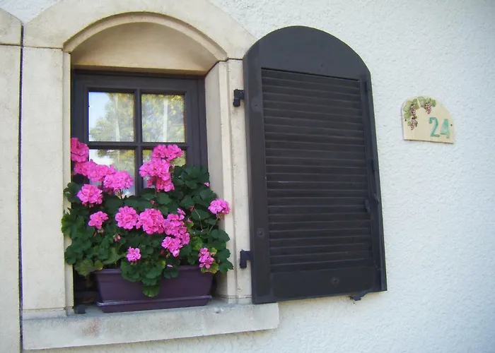 Les Lutins 3* Sainte-Ruffine